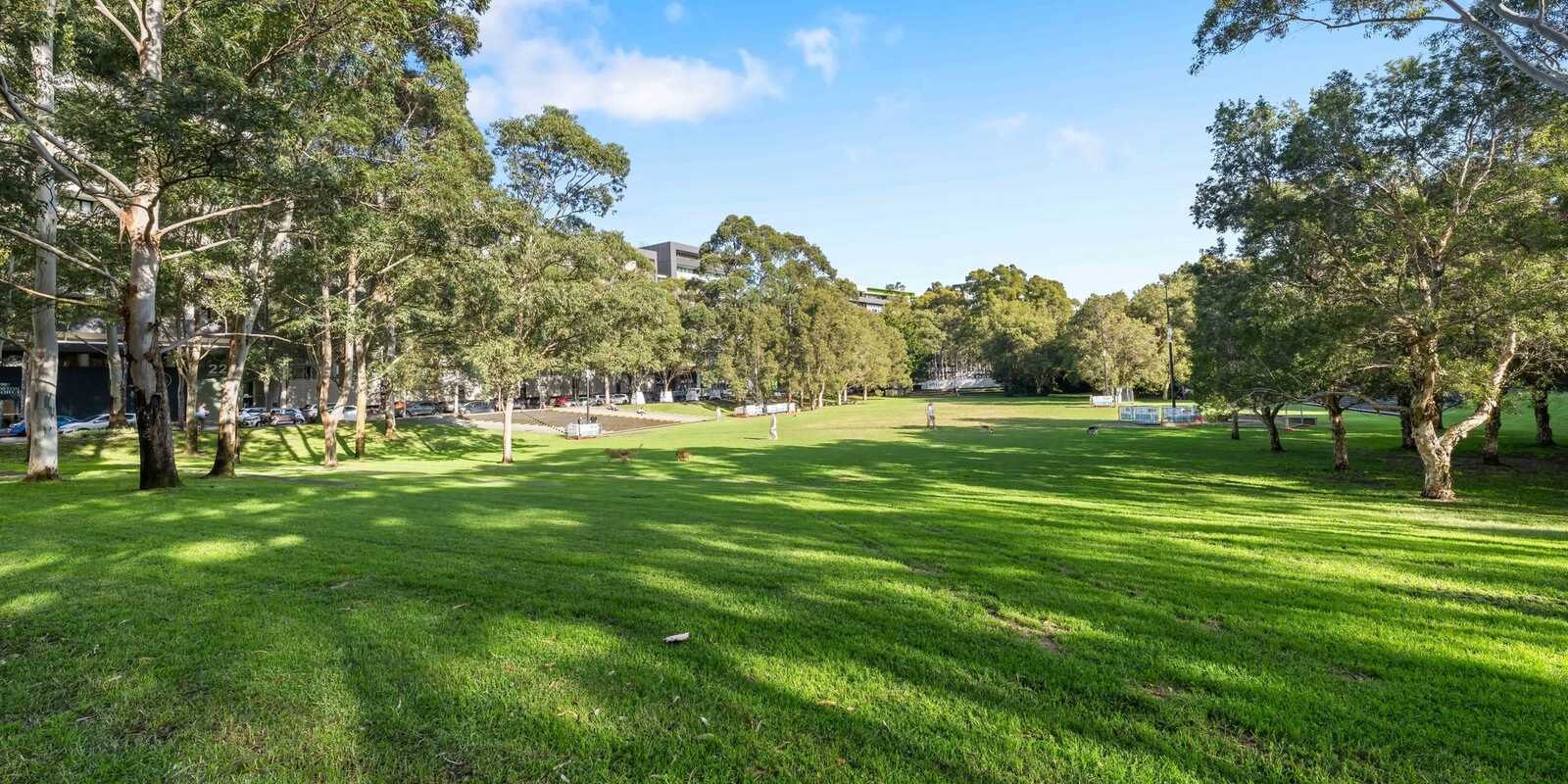 60/5B Victoria Park Parade Zetland 60/5B Victoria Park Parade Zetland