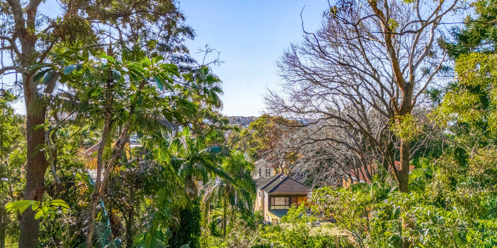 1/65 Francis Street Bondi Beach 1/65 Francis Street Bondi Beach