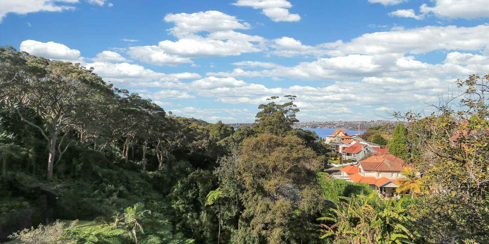 3/11A Silex Rd Mosman