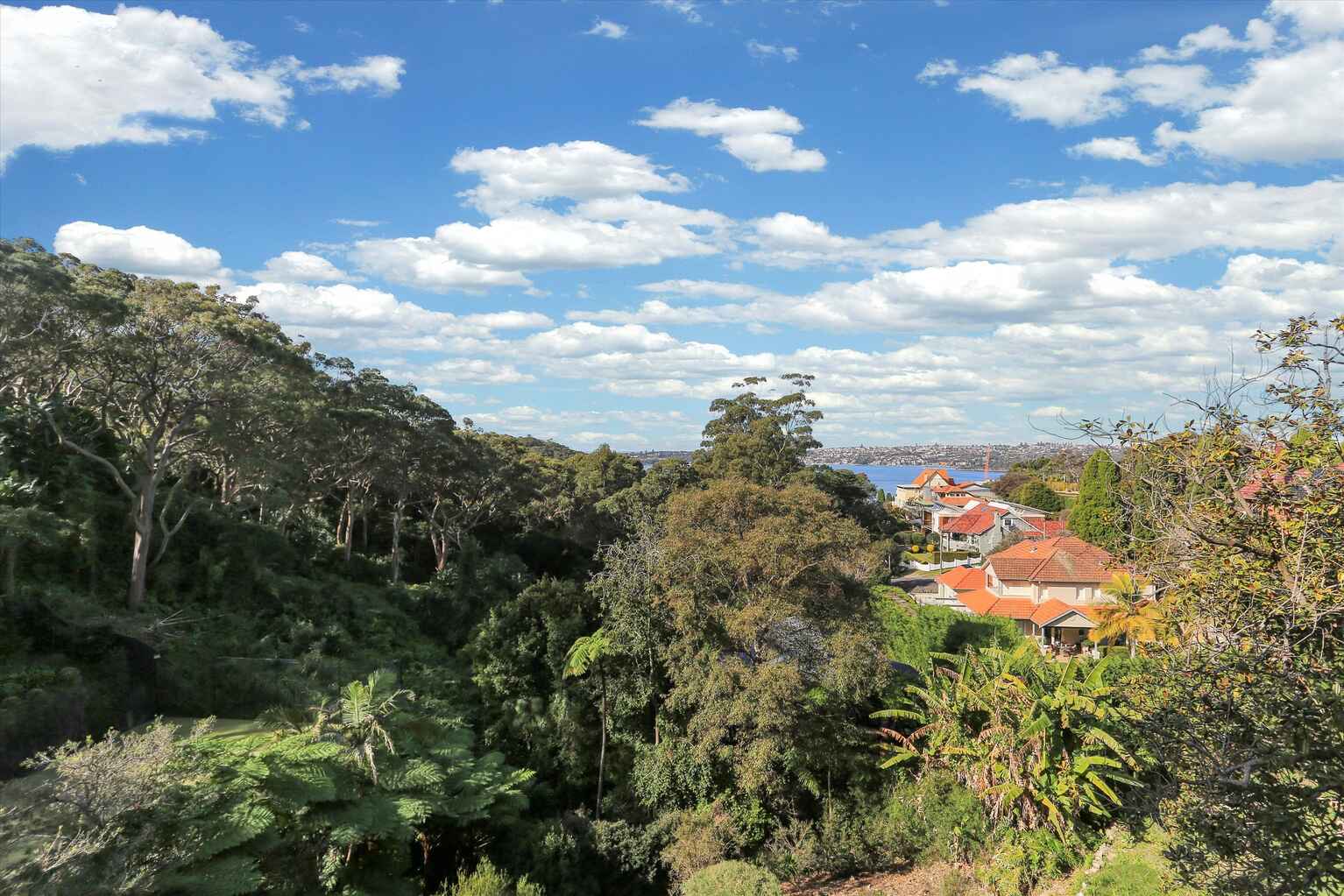 3/11A Silex Rd Mosman