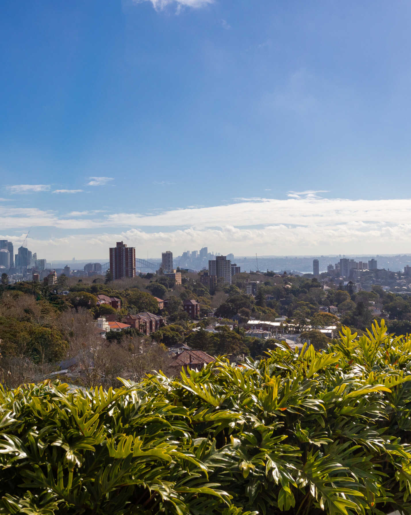502/350 Oxford Street Bondi Junction, Junction - Thumbnail 8