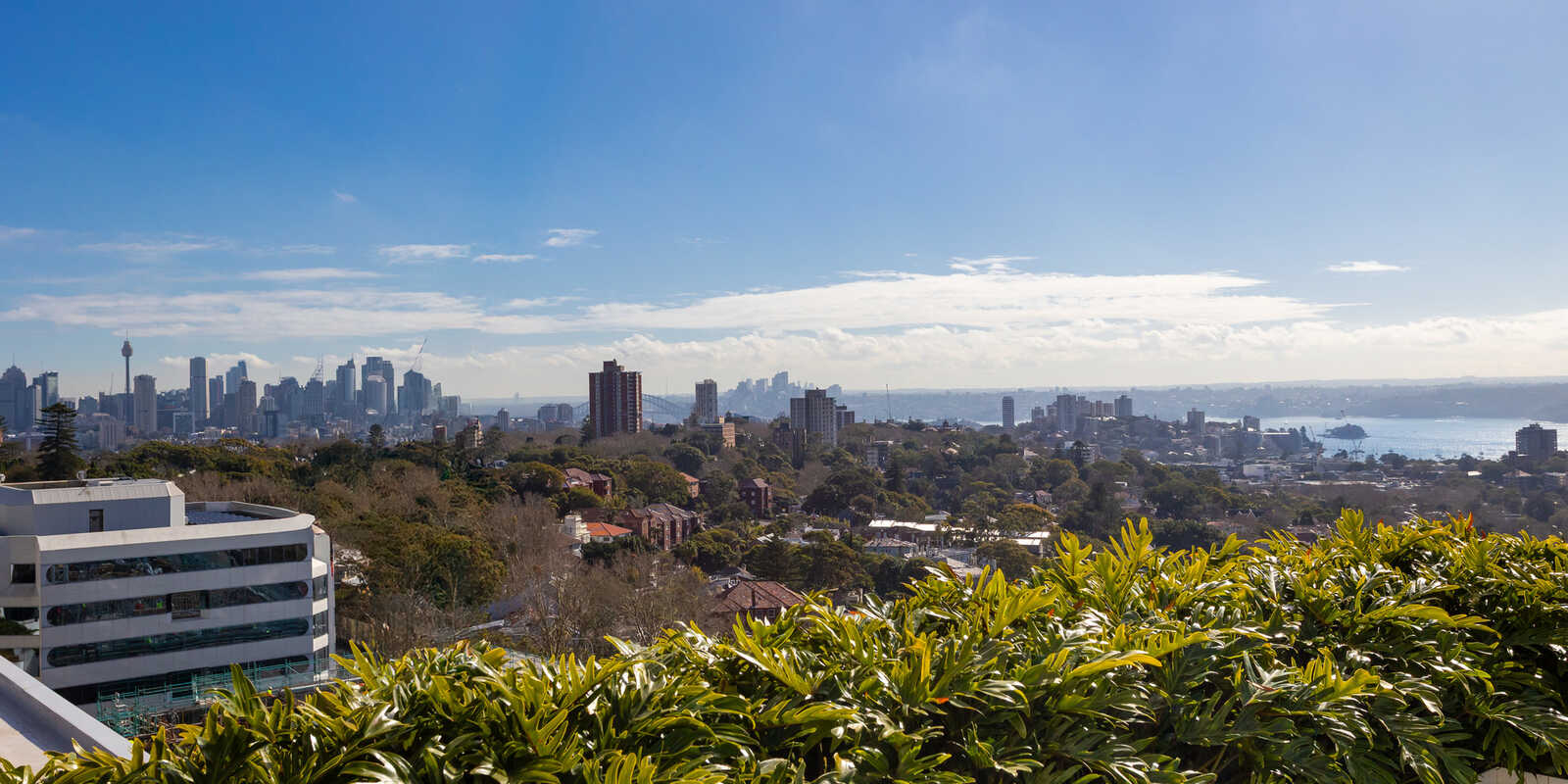 502/350 Oxford Street Bondi Junction