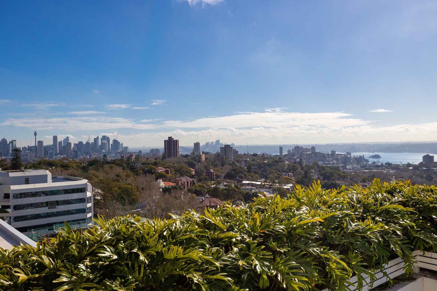 502/350 Oxford Street Bondi Junction