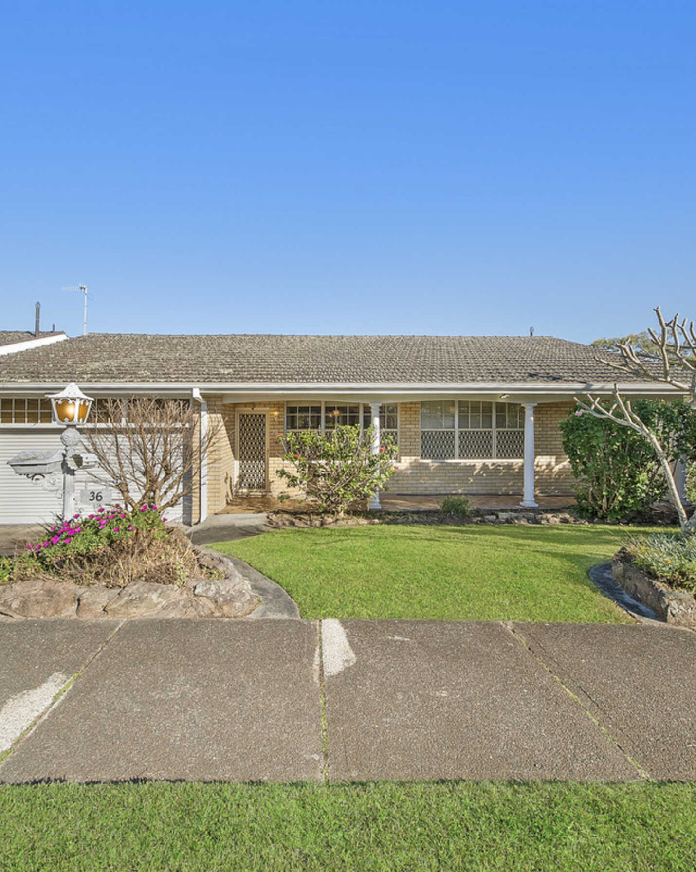 36 Madison Drive Adamstown Heights, Heights - Thumbnail 2