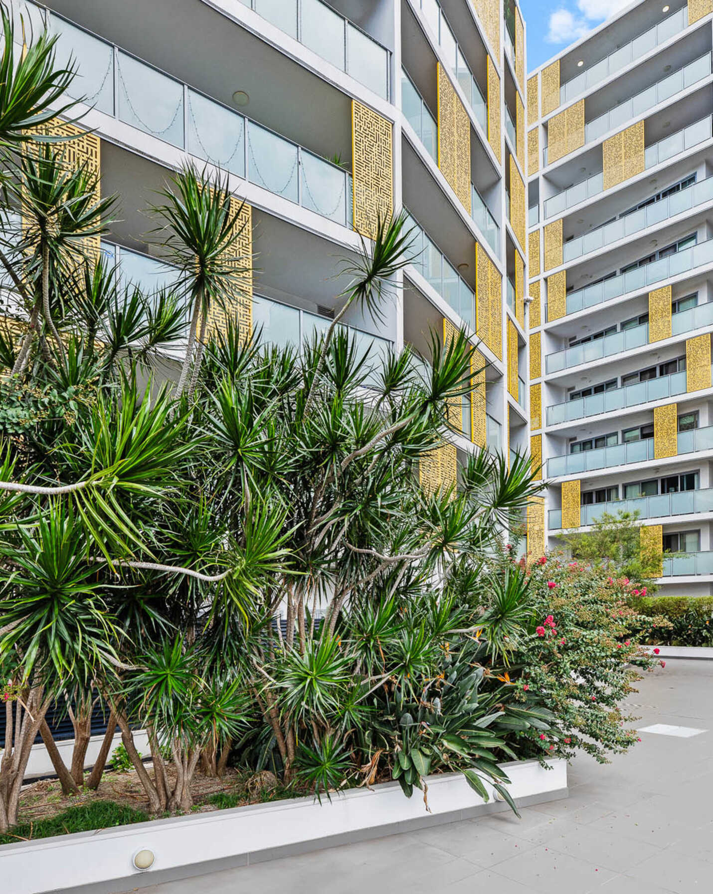 105/564 Princes Highway Rockdale, Rockdale - Thumbnail 6