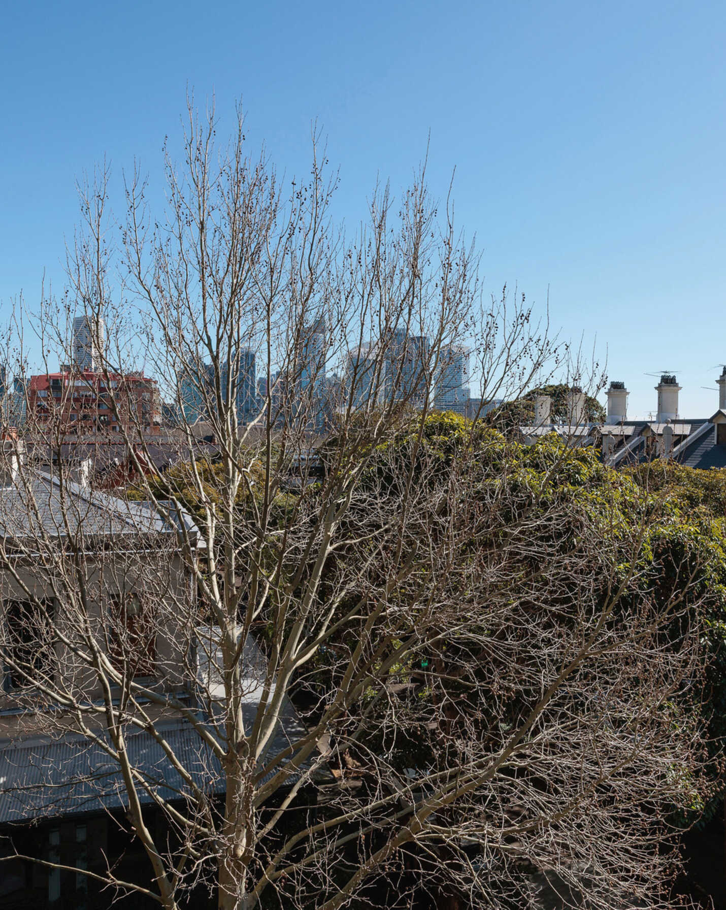 3a/77 Macleay Street Potts Point, Point - Thumbnail 7