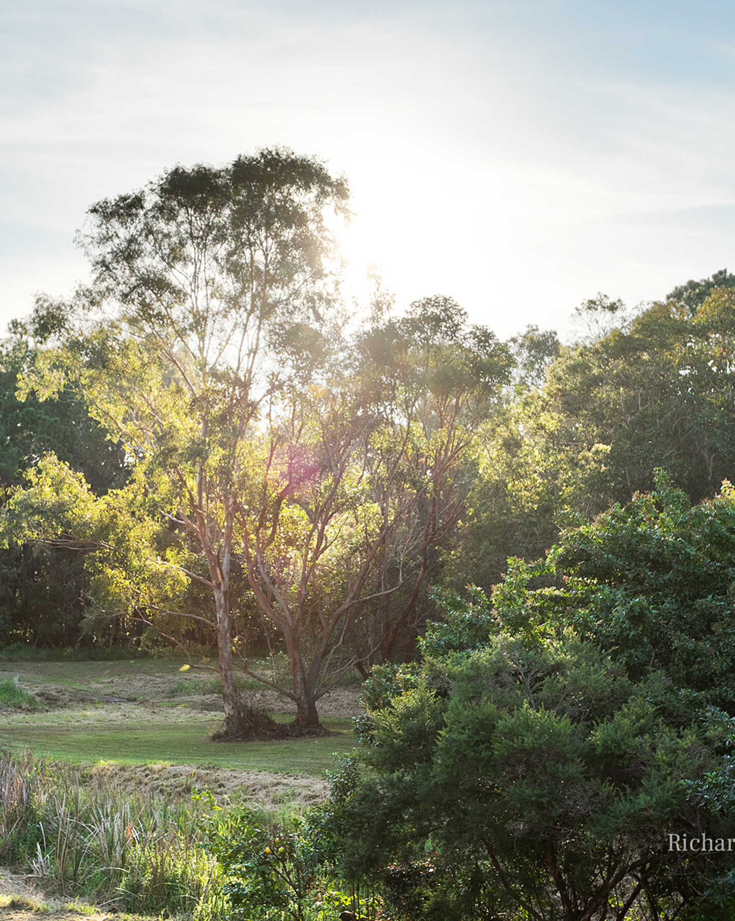 9/28 Kauri Street Cooroy, Cooroy - Thumbnail 4