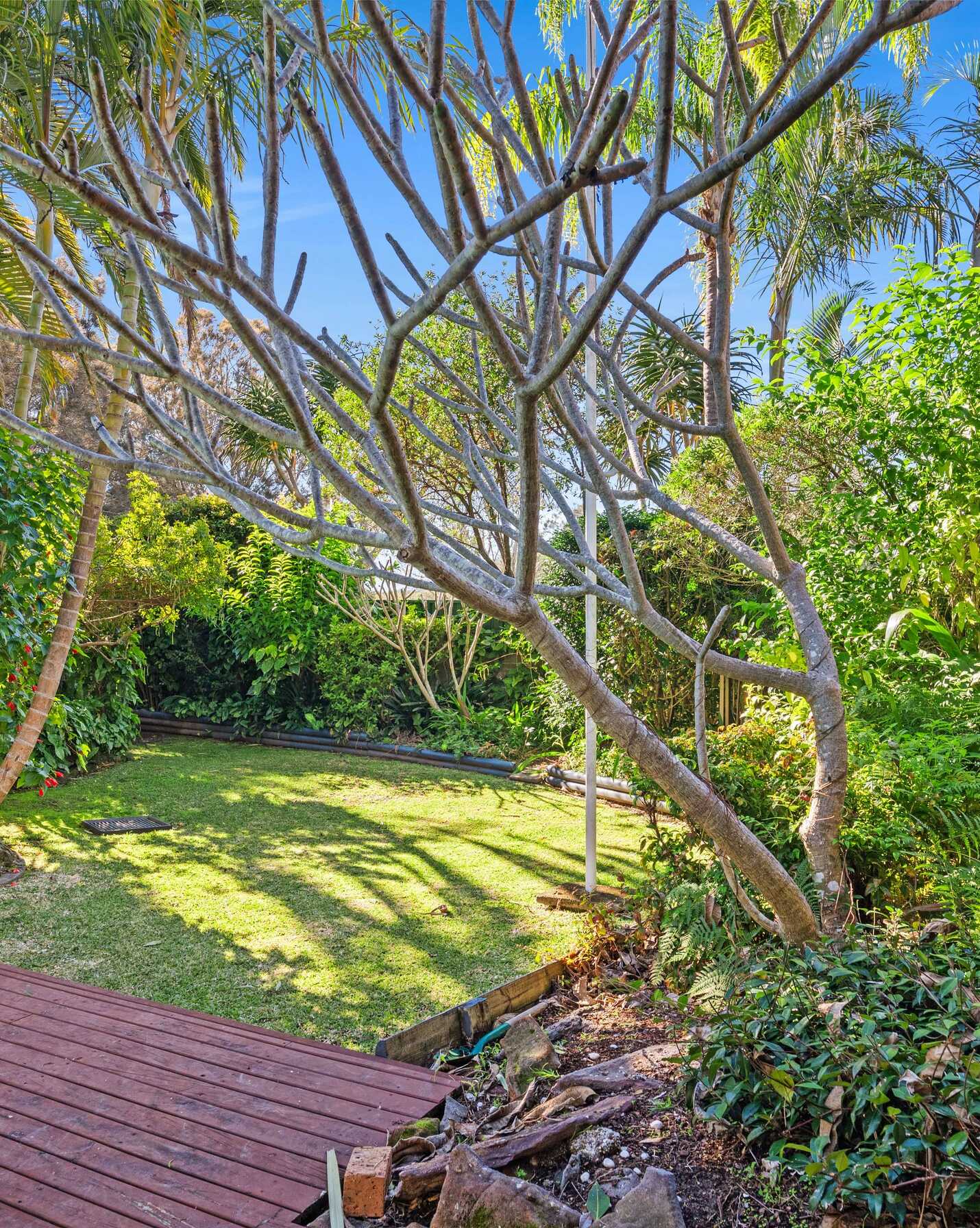 30 Matthews Parade Point Clare, Clare - Thumbnail 6