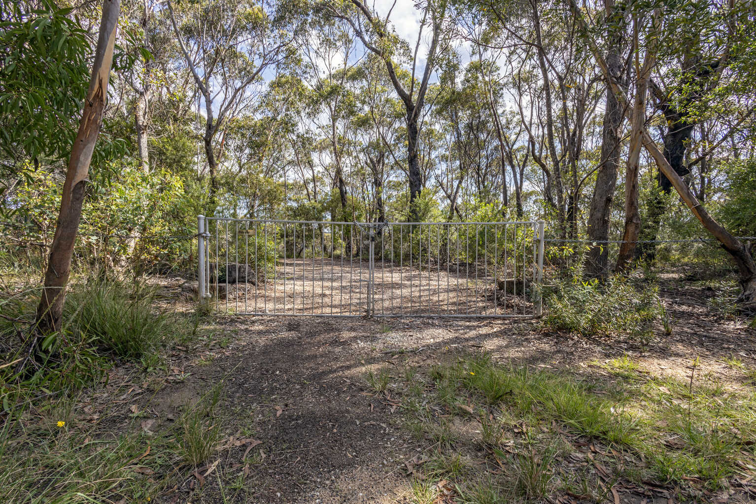 305-323 Evans Lookout Road Blackheath 305-323 Evans Lookout Road Blackheath