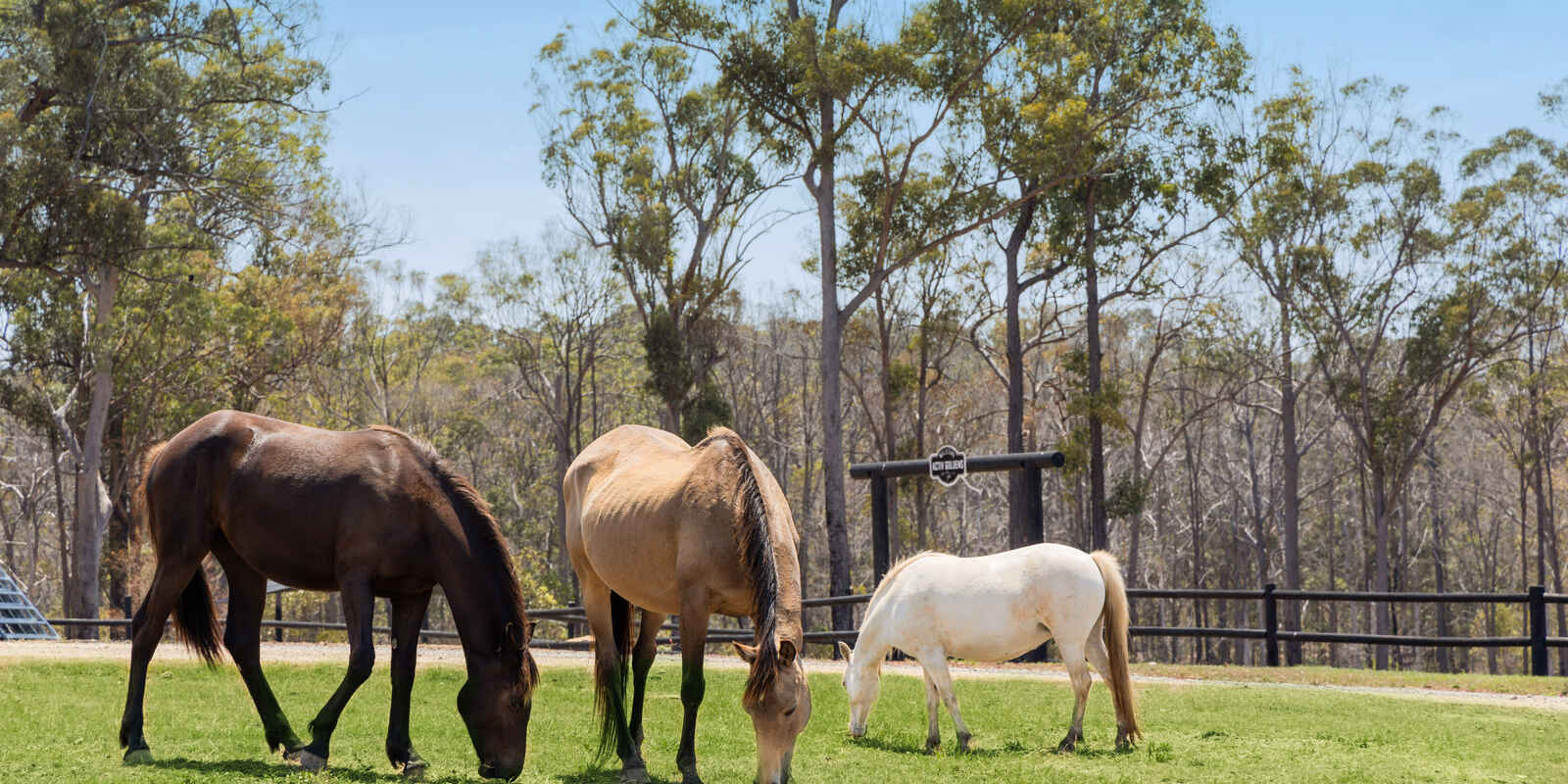 435 Ford Road Priestdale