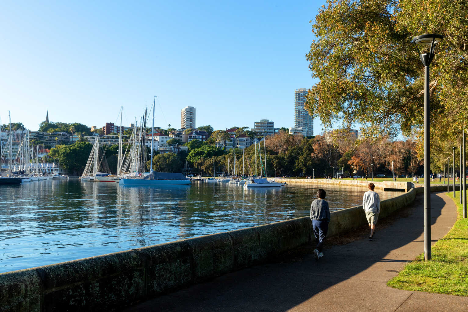 12/38 Roslyn Gardens Rushcutters Bay 12/38 Roslyn Gardens Rushcutters Bay