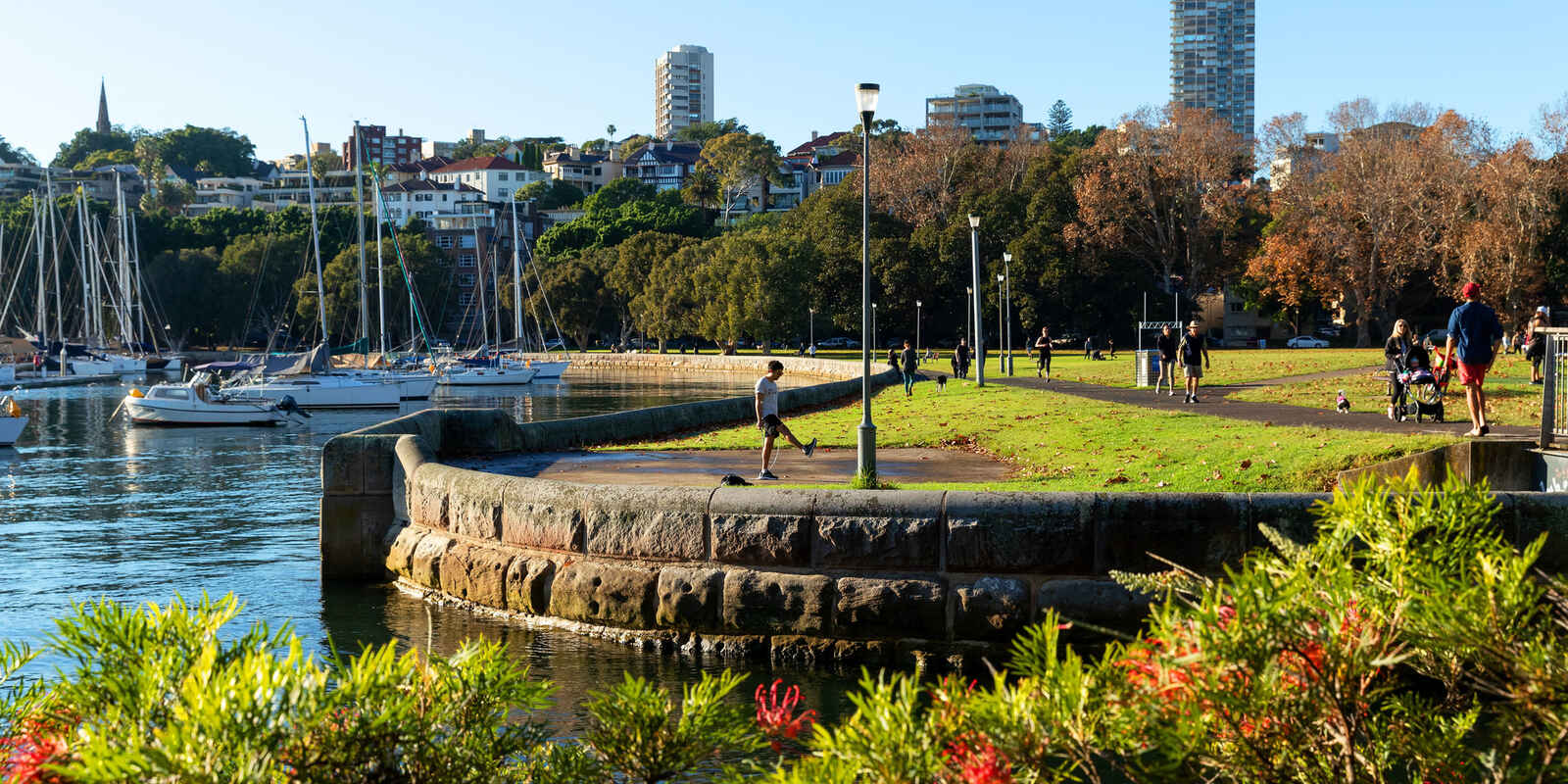 12/38 Roslyn Gardens Rushcutters Bay