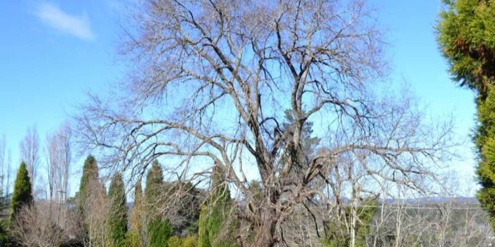 7 Orchard Road Bowral 7 Orchard Road Bowral