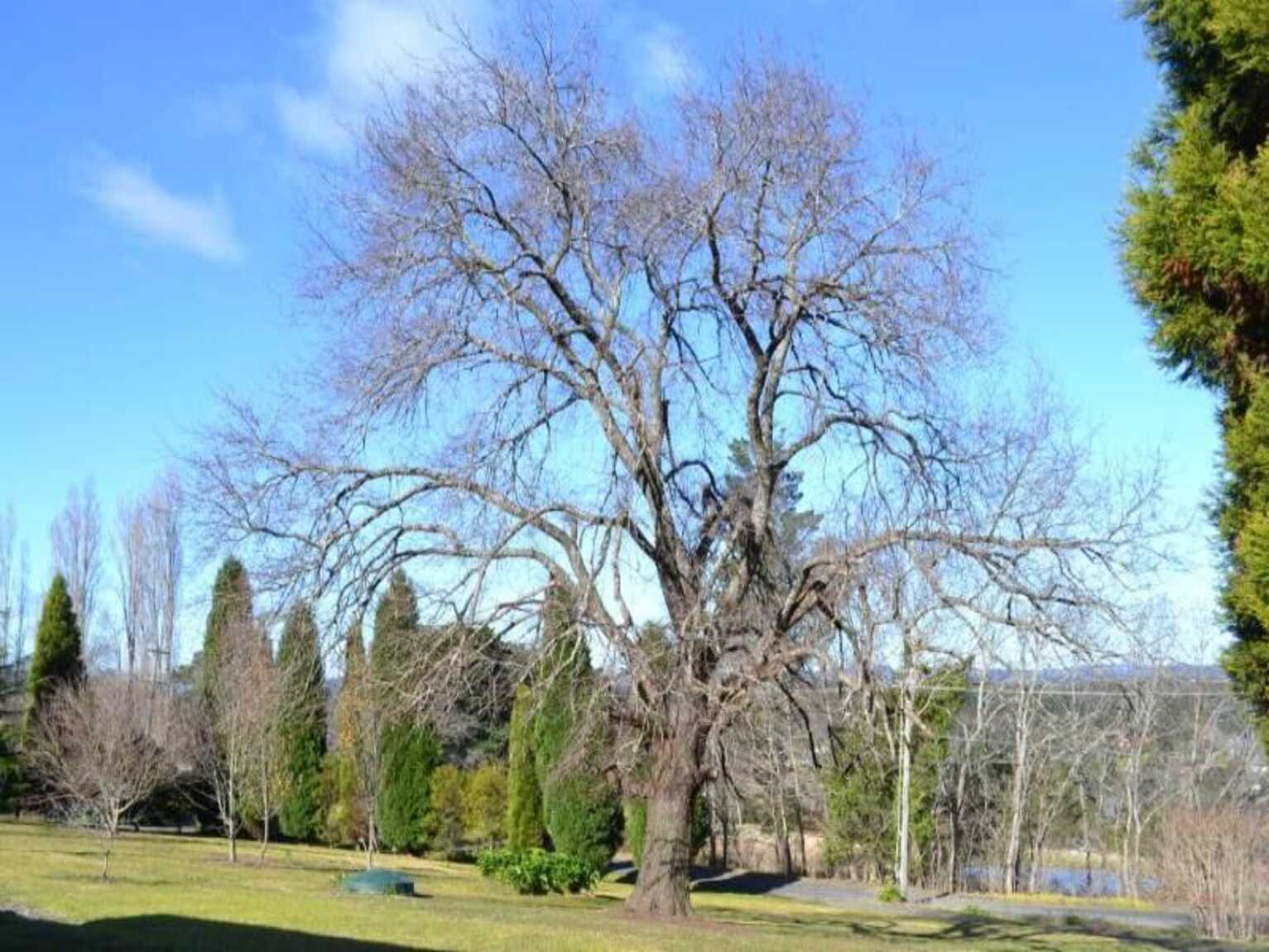 7 Orchard Road Bowral 7 Orchard Road Bowral