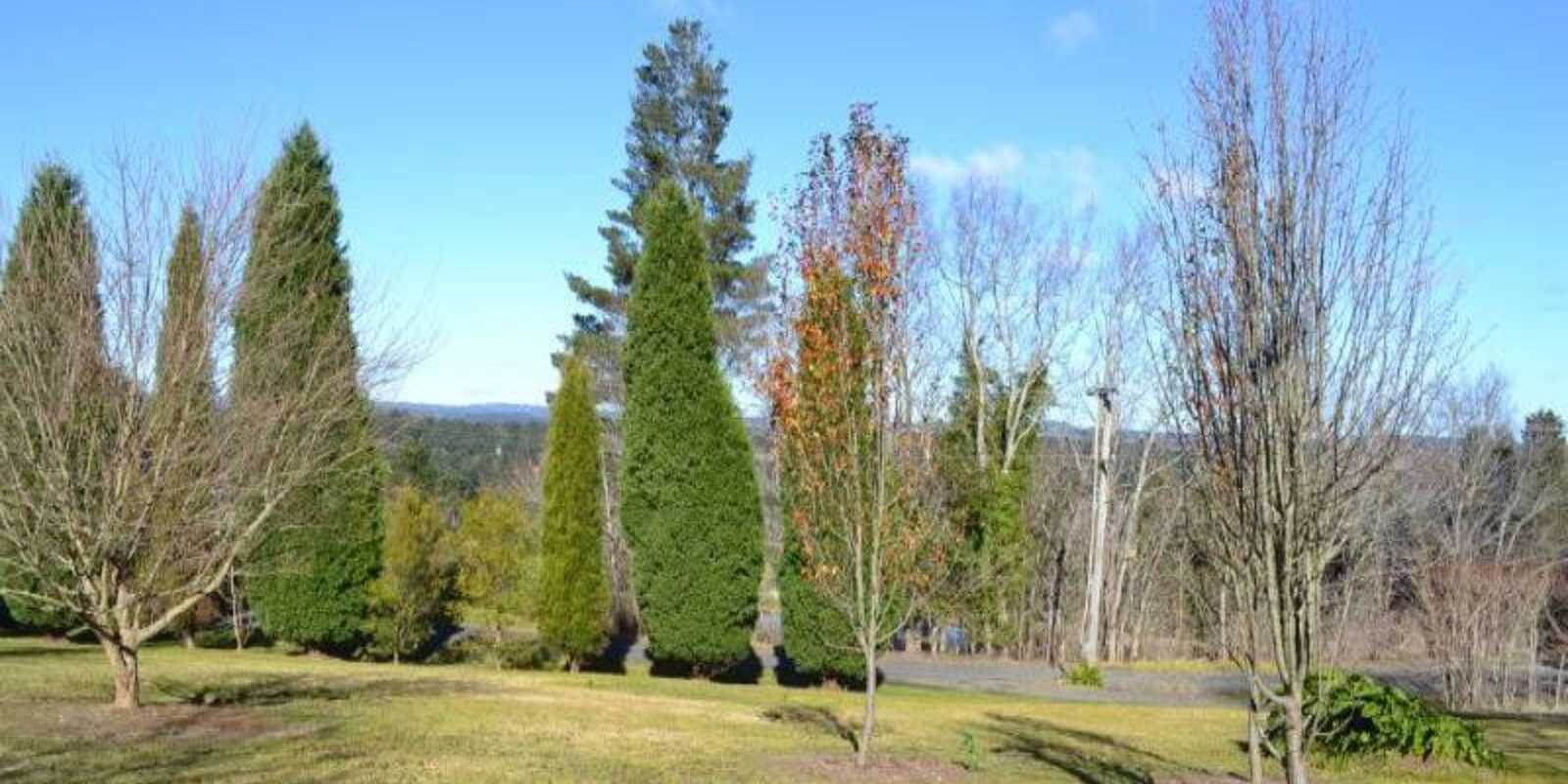7 Orchard Road Bowral 7 Orchard Road Bowral