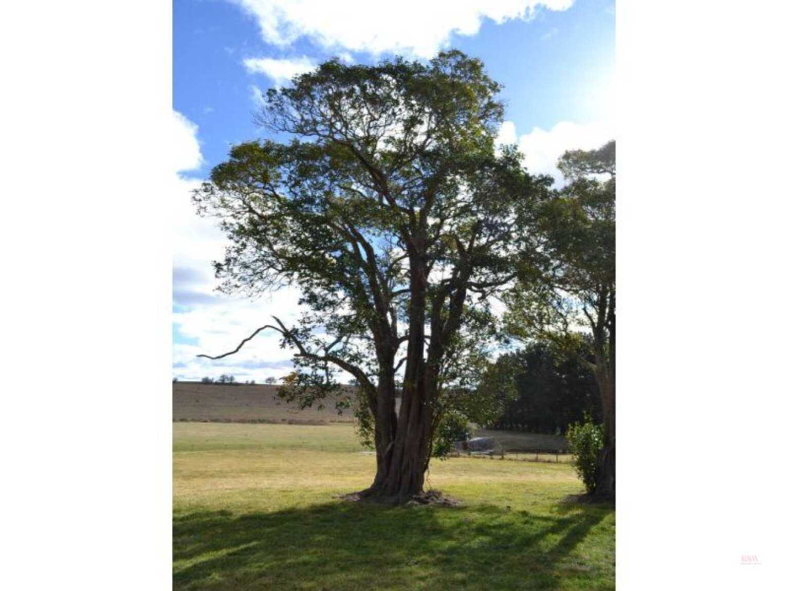 7496 Illawarra Highway Sutton Forest 7496 Illawarra Highway Sutton Forest