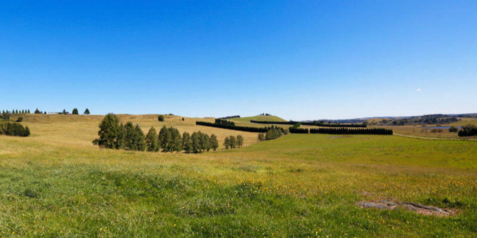 90 Yarrawa Road Moss Vale