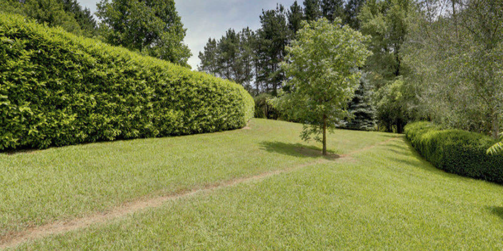 377 Ellsmore Road Exeter 377 Ellsmore Road Exeter