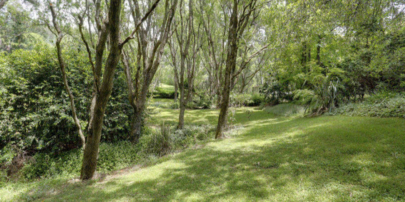 377 Ellsmore Road Exeter 377 Ellsmore Road Exeter