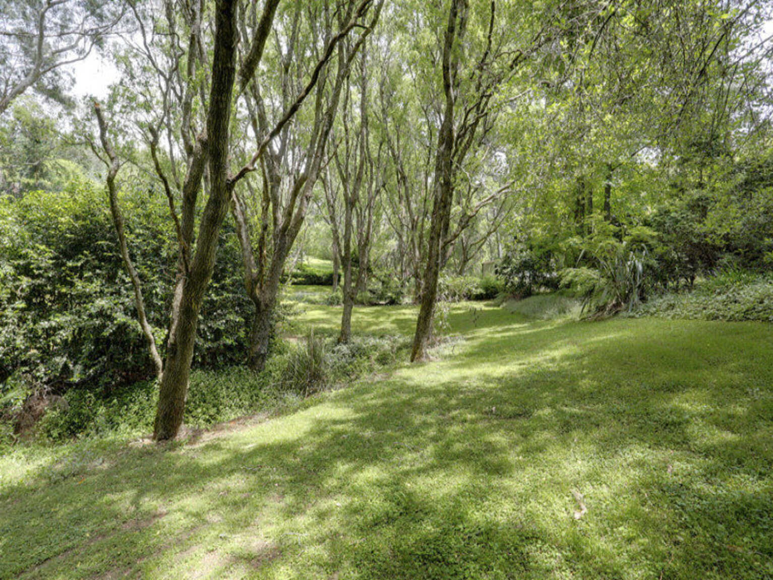 377 Ellsmore Road Exeter 377 Ellsmore Road Exeter