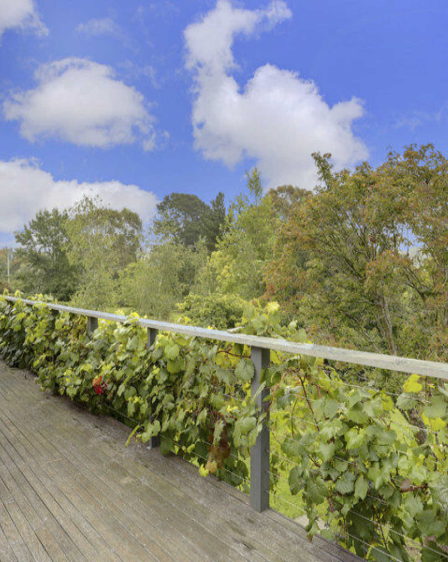Lot 11 Throsby Park Road Moss Vale, Moss Vale - Thumbnail 7