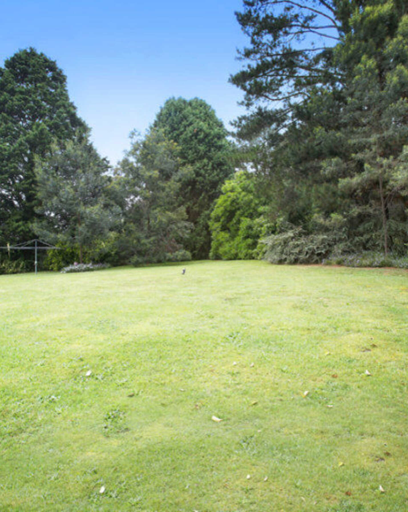 18 Caber Street Moss Vale, Moss Vale - Thumbnail 6
