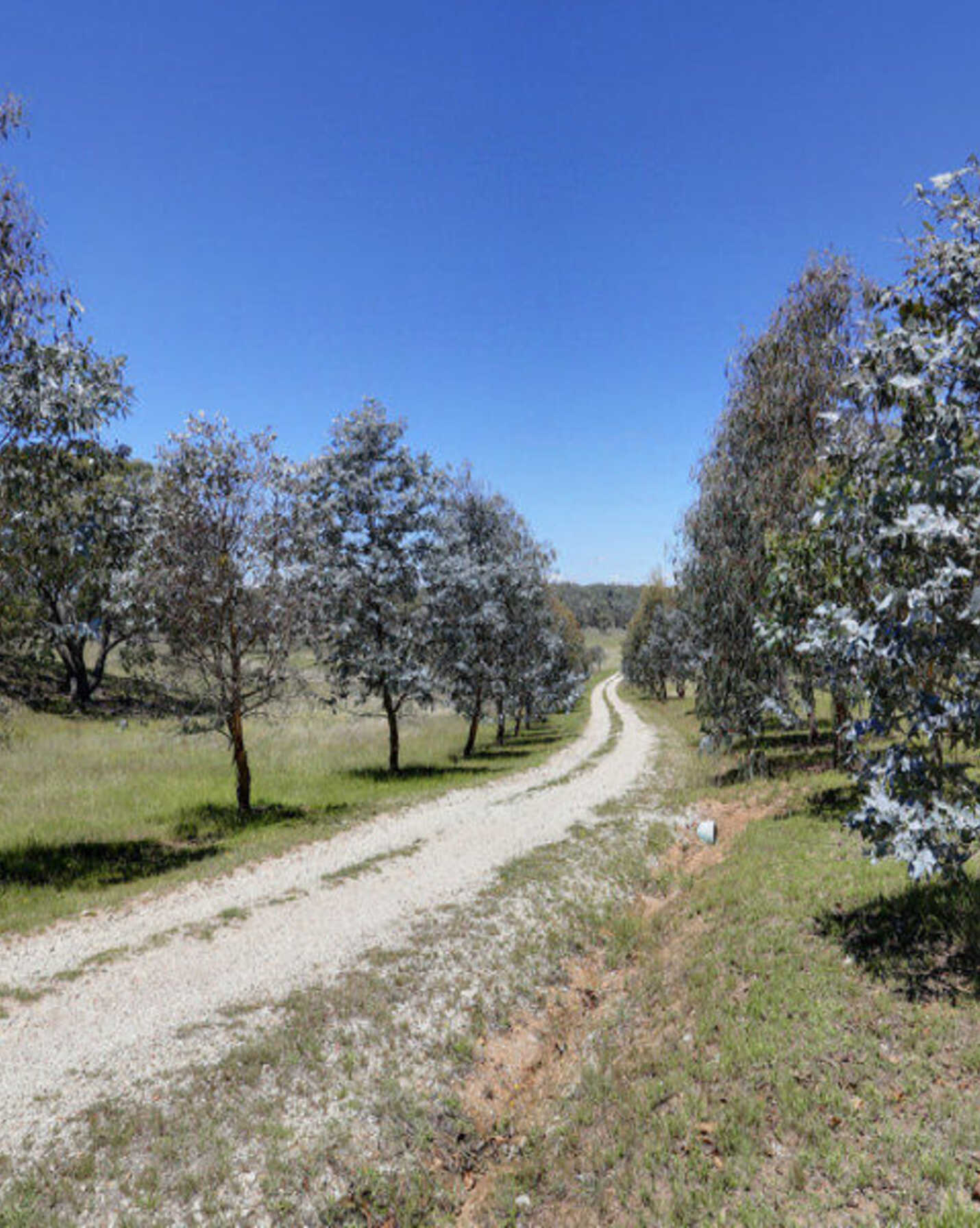 33 Ravenswood Road Goulburn, Goulburn - Thumbnail 4