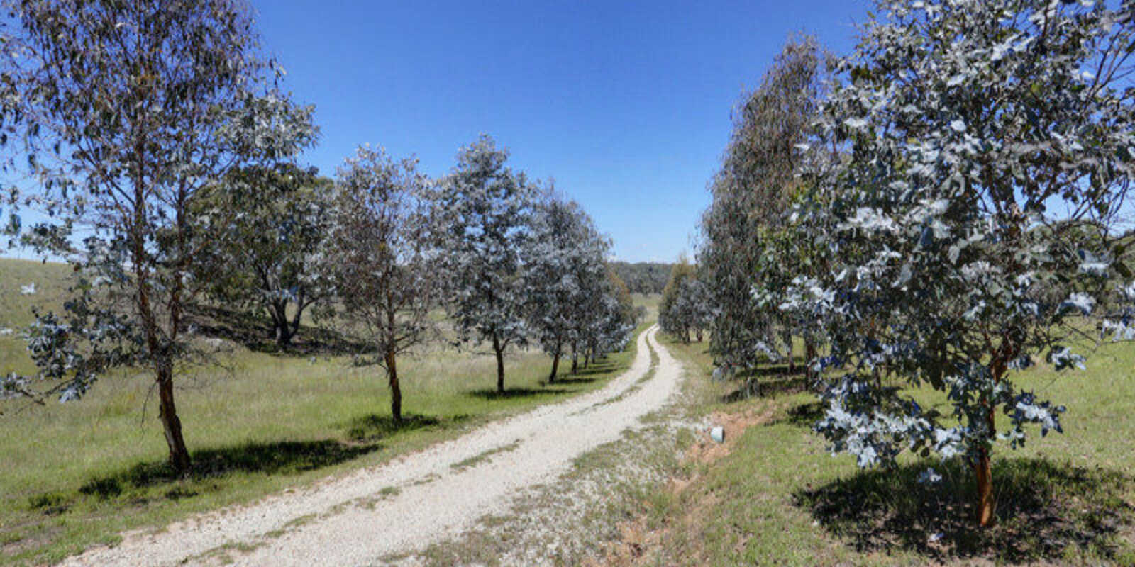 33 Ravenswood Road Goulburn 33 Ravenswood Road Goulburn