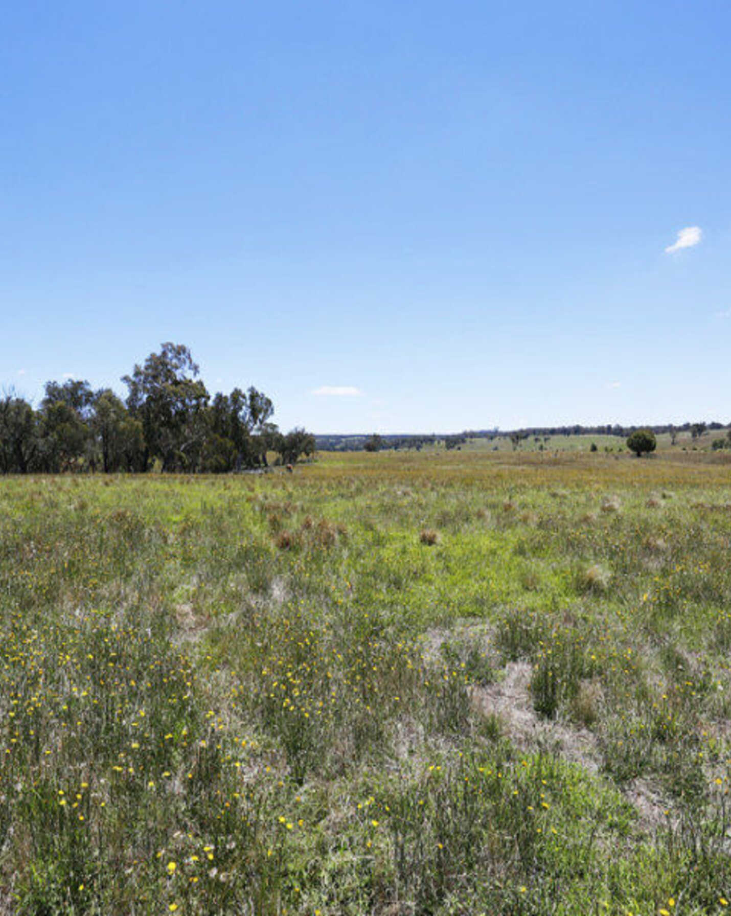 33 Ravenswood Road Goulburn, Goulburn - Thumbnail 6