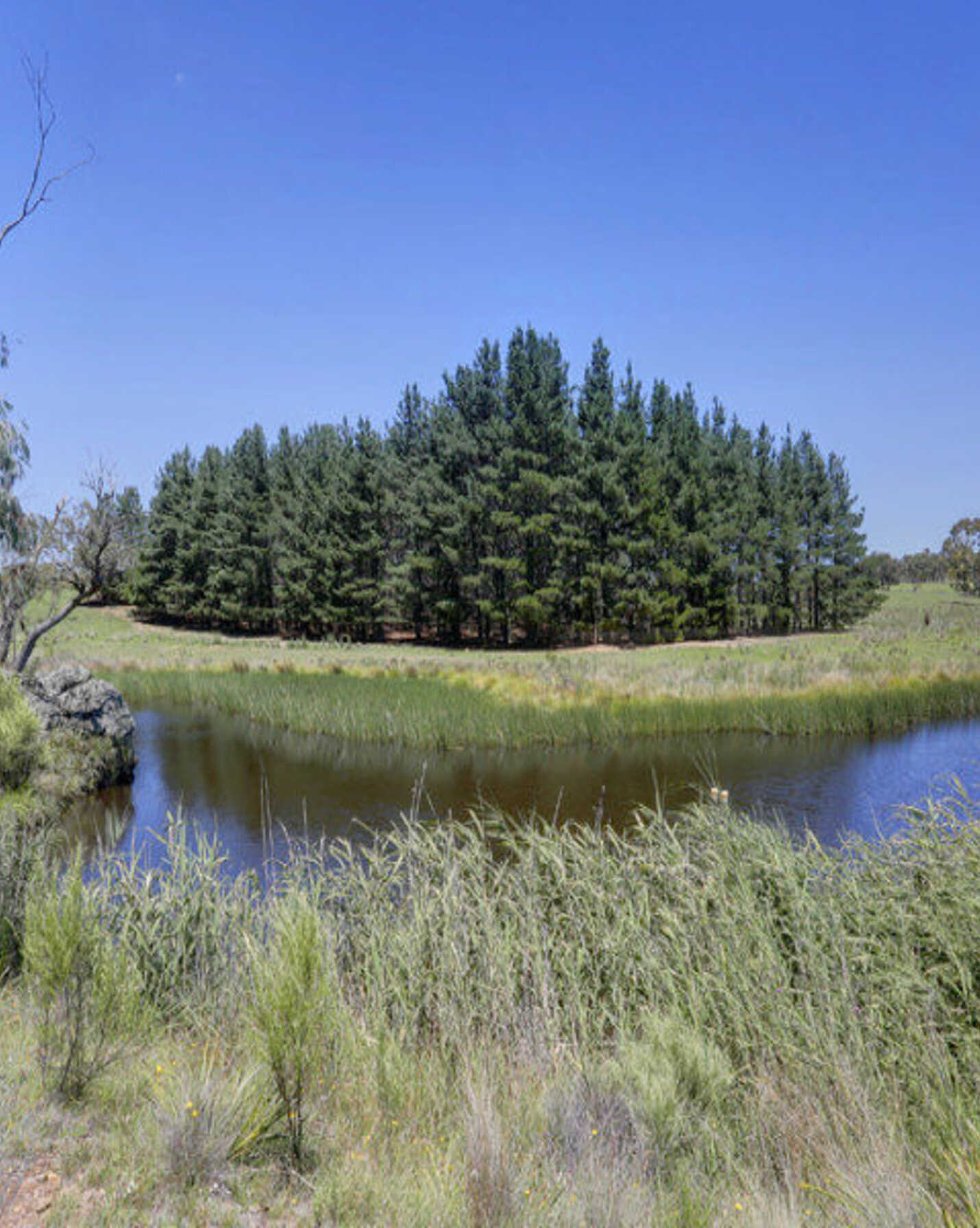 33 Ravenswood Road Goulburn, Goulburn - Thumbnail 7