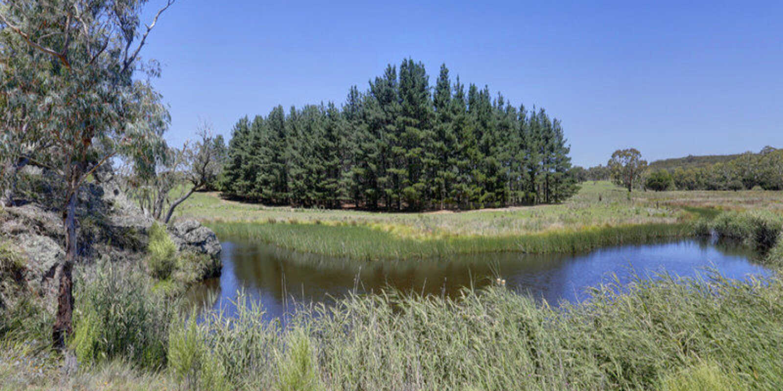 33 Ravenswood Road Goulburn 33 Ravenswood Road Goulburn