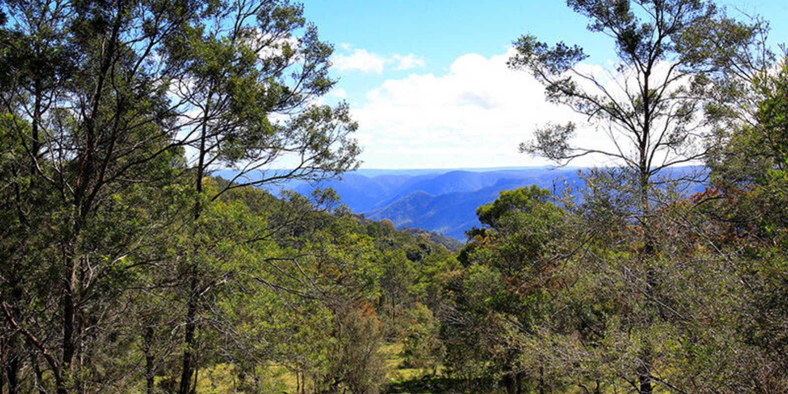 2952 Wombeyan Caves Road Bullio 2952 Wombeyan Caves Road Bullio