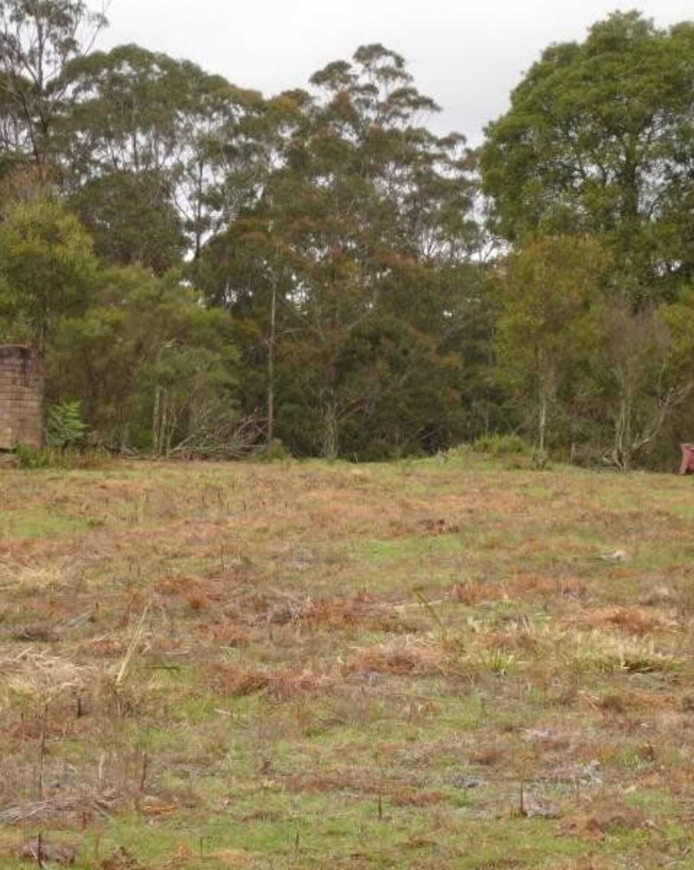 411 Spring Hill Road Meryla, Meryla - Thumbnail 2