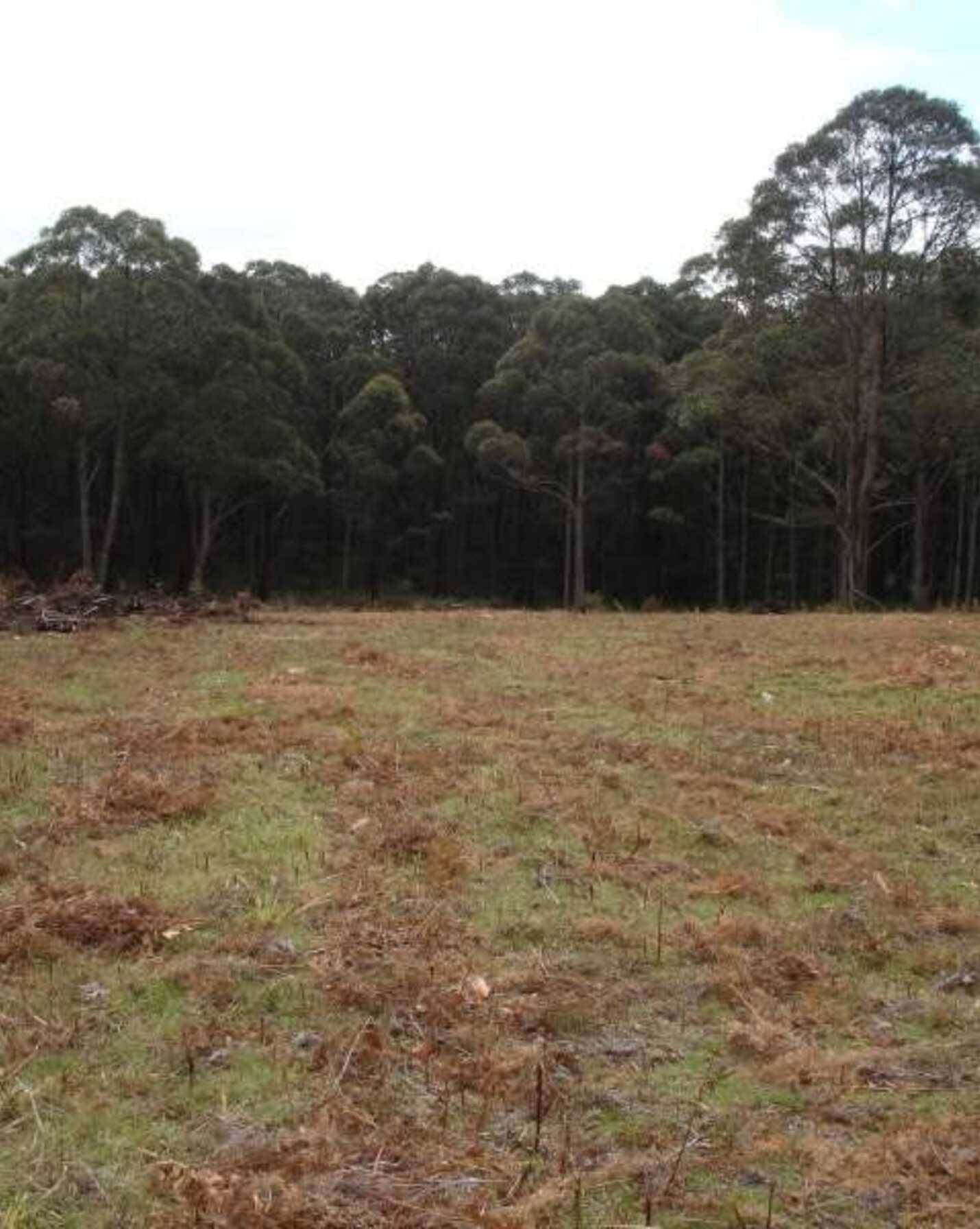 411 Spring Hill Road Meryla, Meryla - Thumbnail 3