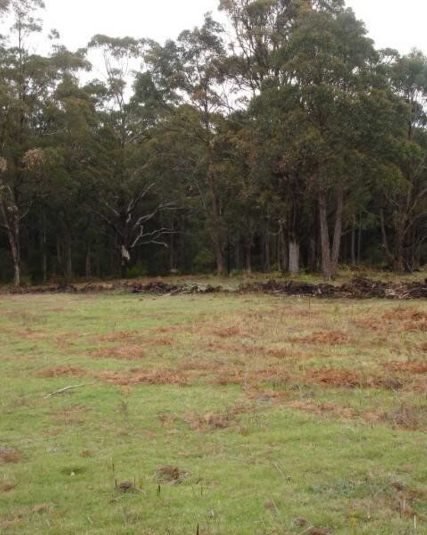 411 Spring Hill Road Meryla, Meryla - Thumbnail 5