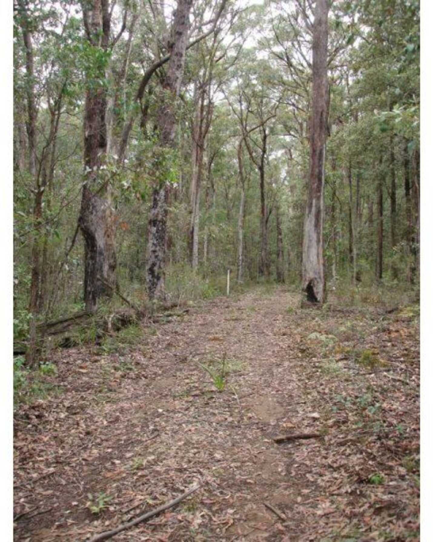 411 Spring Hill Road Meryla, Meryla - Thumbnail 6
