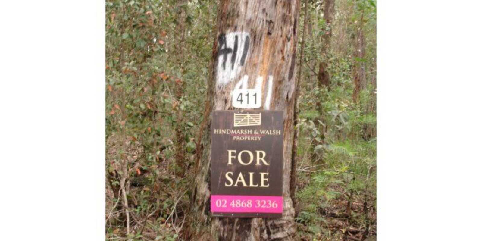 411 Spring Hill Road Meryla 411 Spring Hill Road Meryla