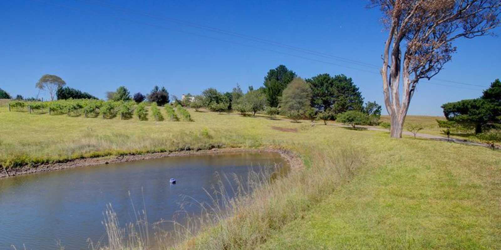 25 Springhill Grove Sutton Forest 25 Springhill Grove Sutton Forest