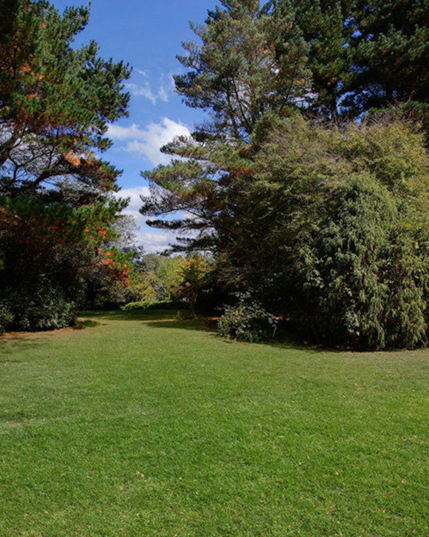 17 Hurlingham Avenue Burradoo, Burradoo - Thumbnail 4