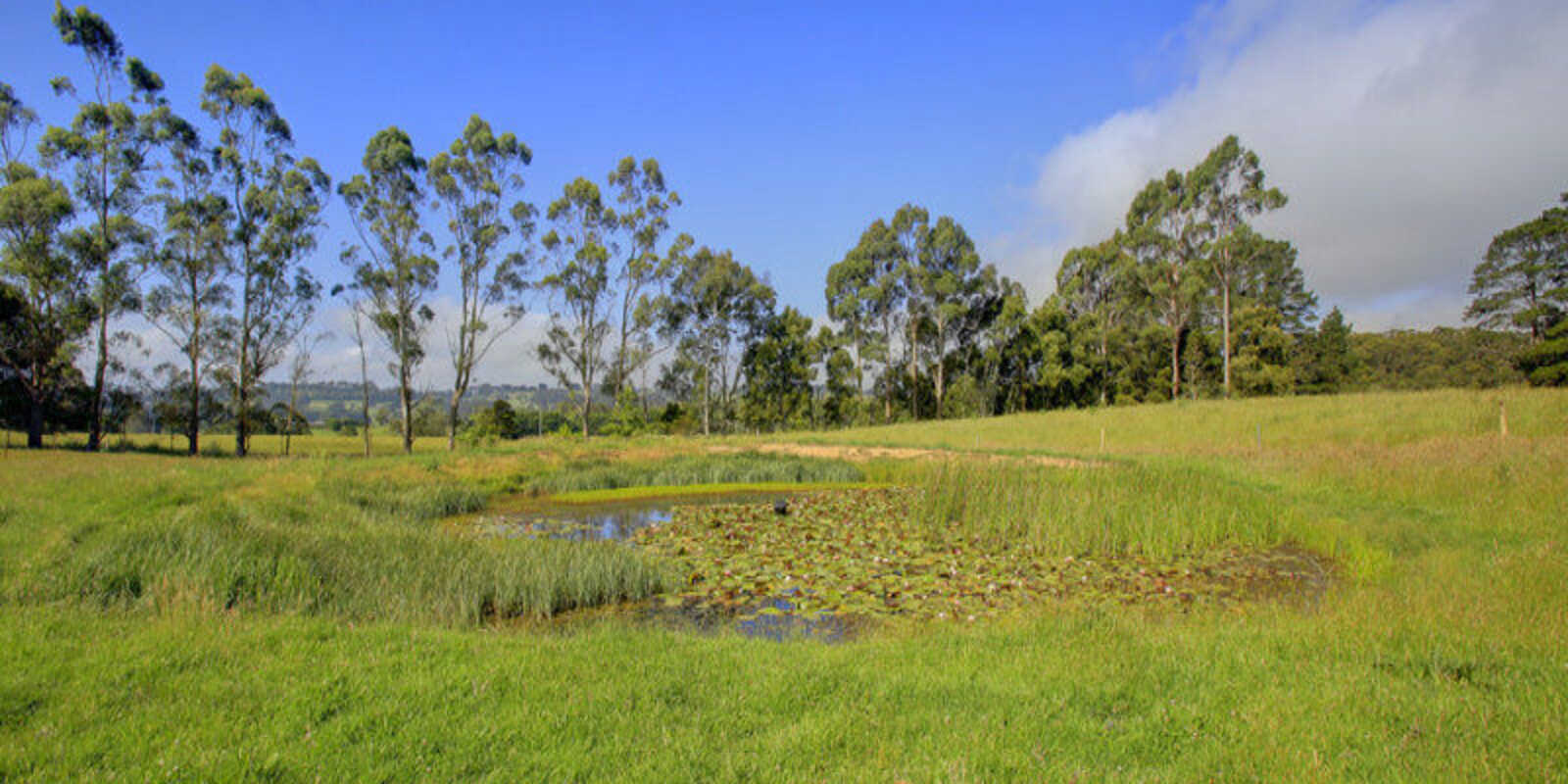 8 Church Street Burrawang 8 Church Street Burrawang