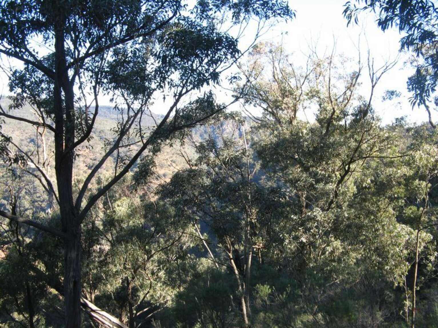 171 Pulpit Rock Road Bullio 171 Pulpit Rock Road Bullio