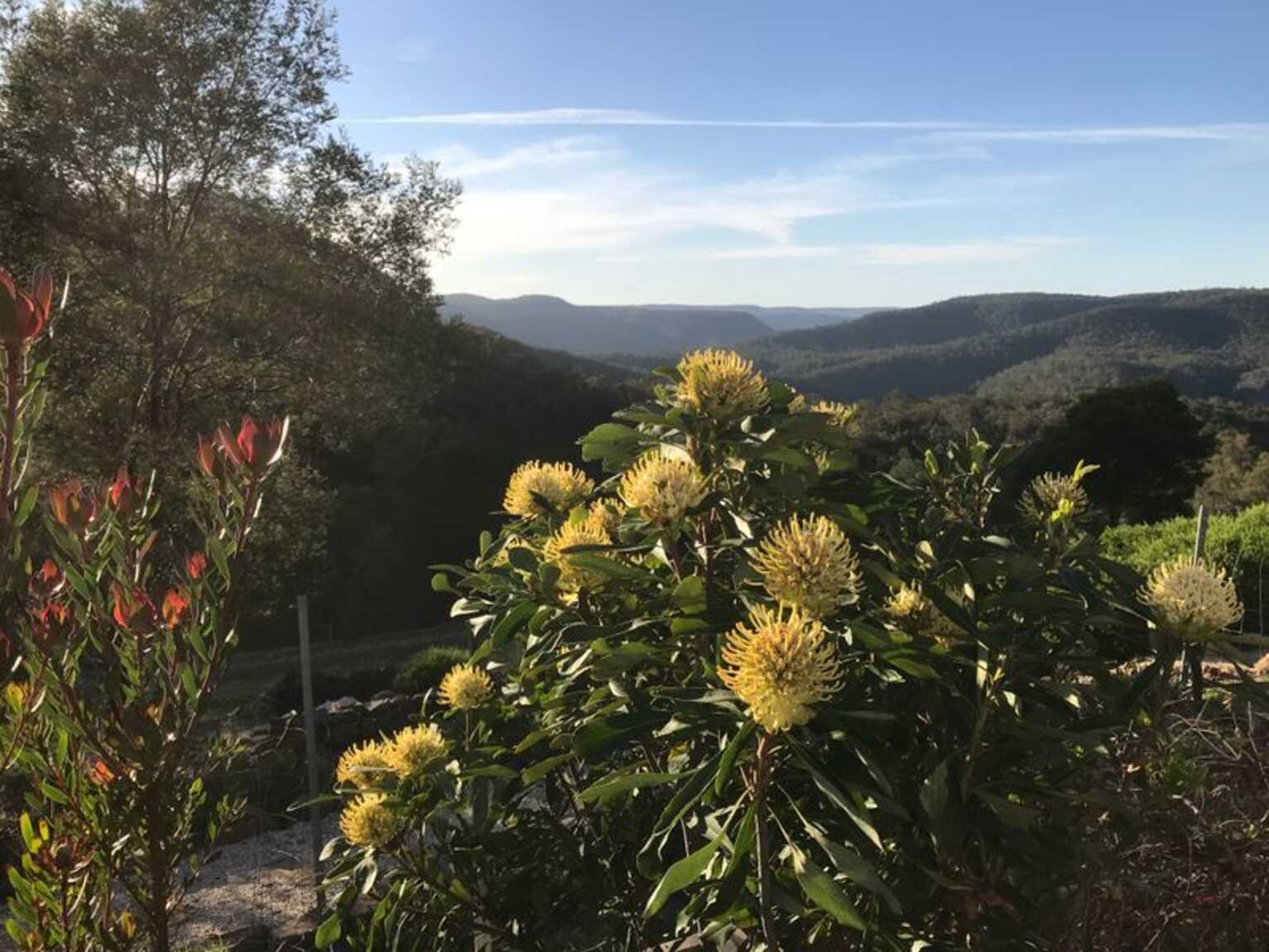 171 Pulpit Rock Road Bullio 171 Pulpit Rock Road Bullio