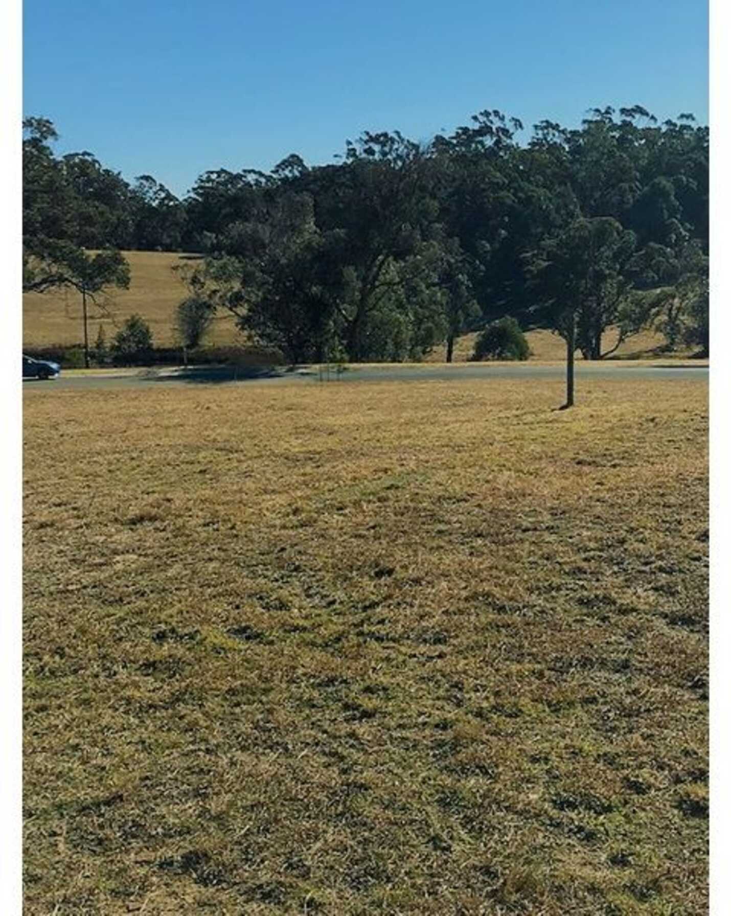 Lot 8 Erithwood Estate Erith Street Bundanoon, Bundanoon - Thumbnail 4
