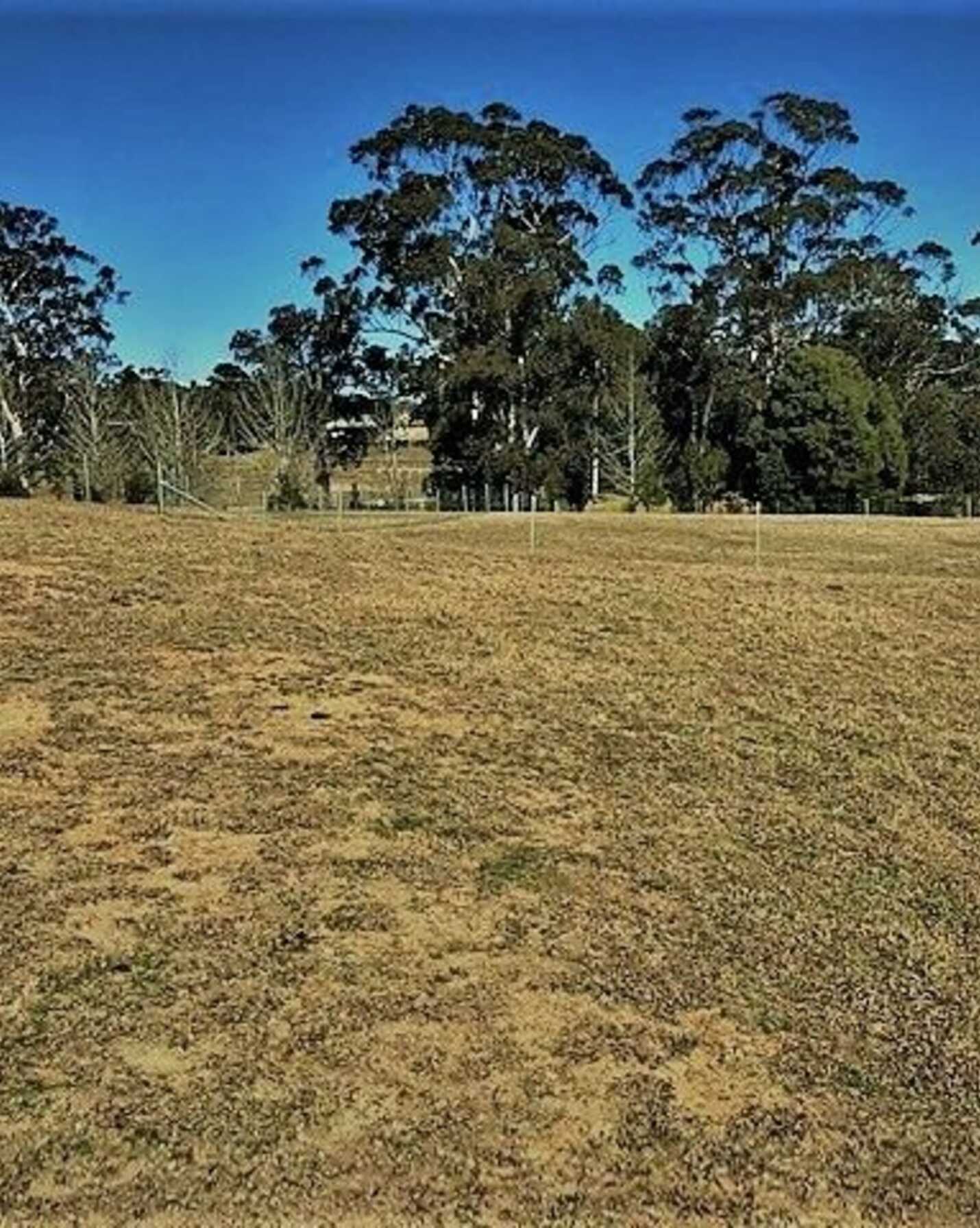 Lot 8 Erithwood Estate Erith Street Bundanoon, Bundanoon - Thumbnail 5