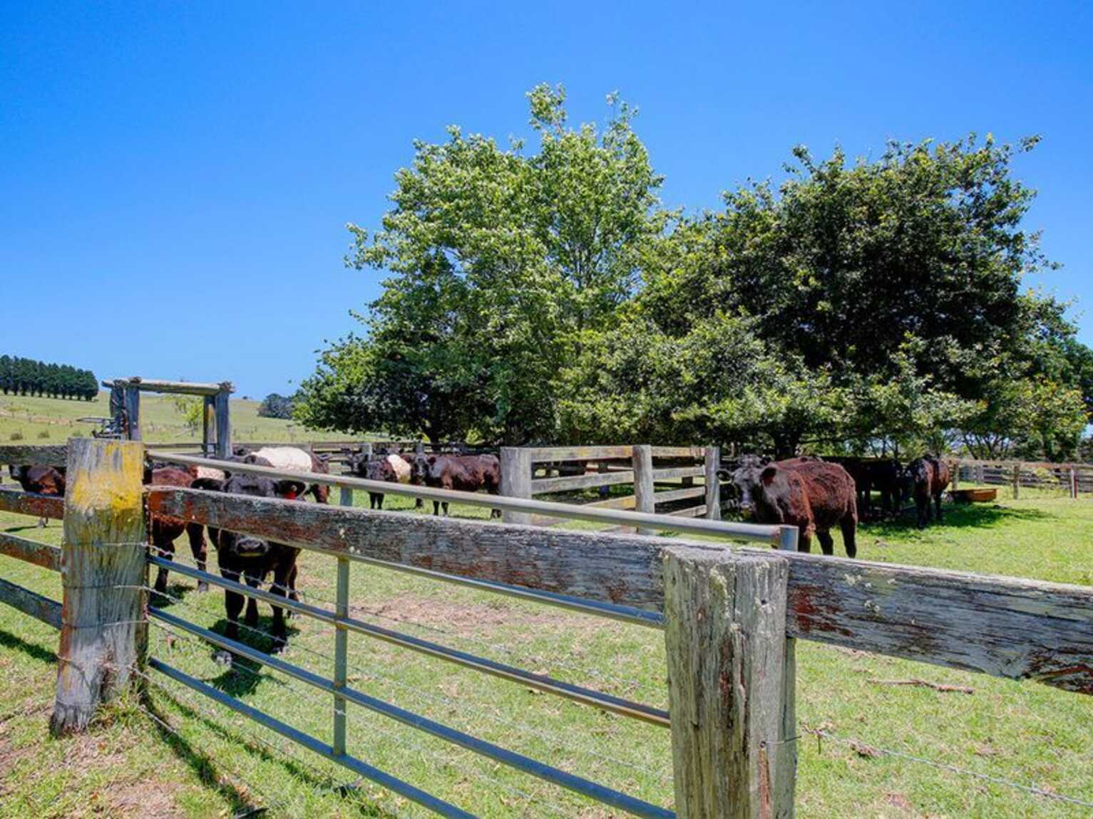 133 Orfords Lane East Kangaloon