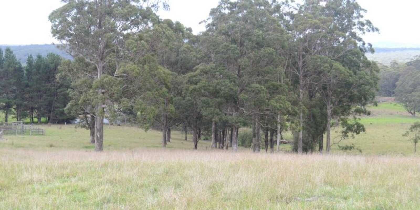 133 Orfords Lane East Kangaloon 133 Orfords Lane East Kangaloon