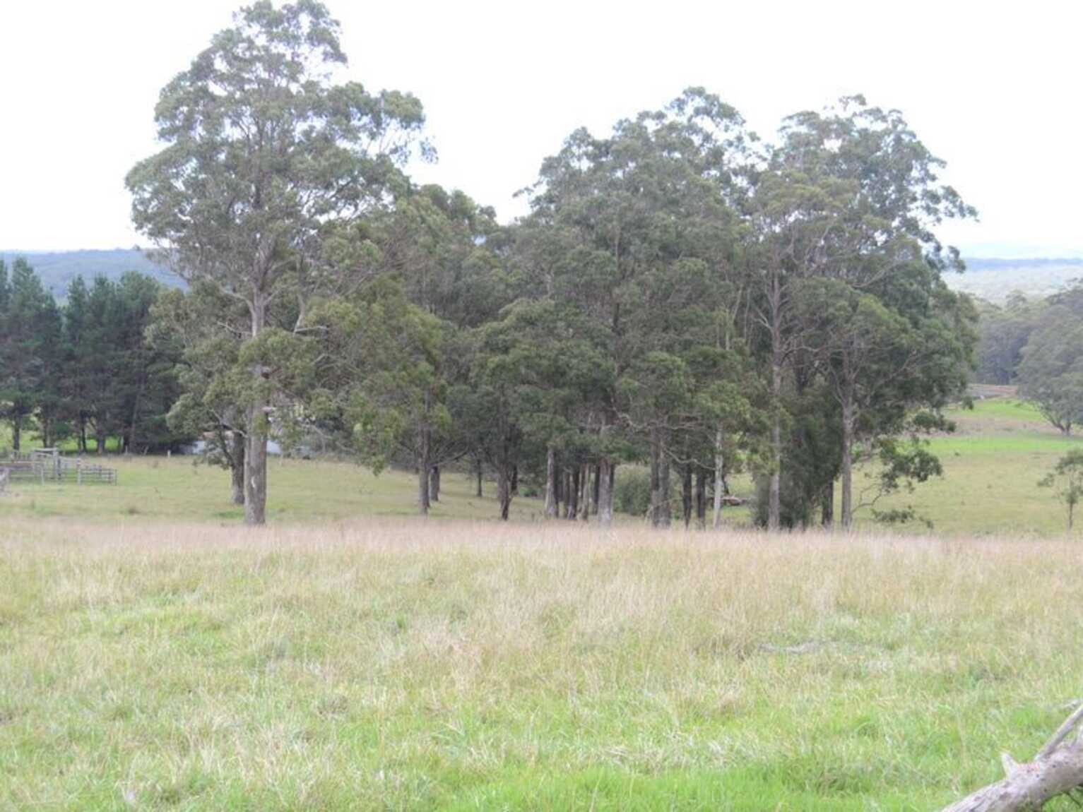 133 Orfords Lane East Kangaloon 133 Orfords Lane East Kangaloon