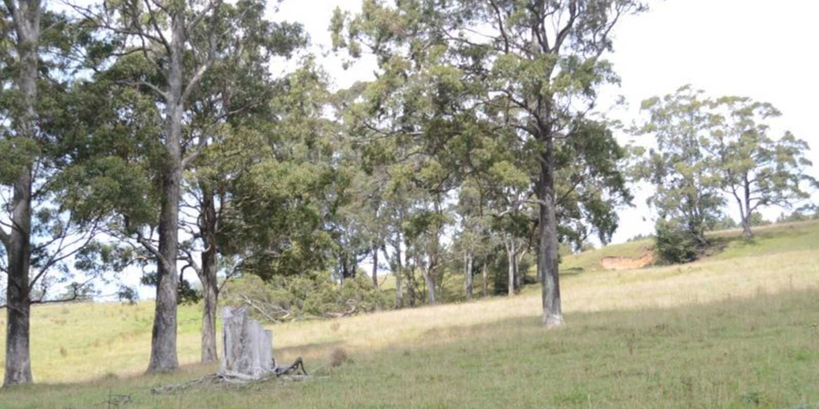 133 Orfords Lane East Kangaloon 133 Orfords Lane East Kangaloon