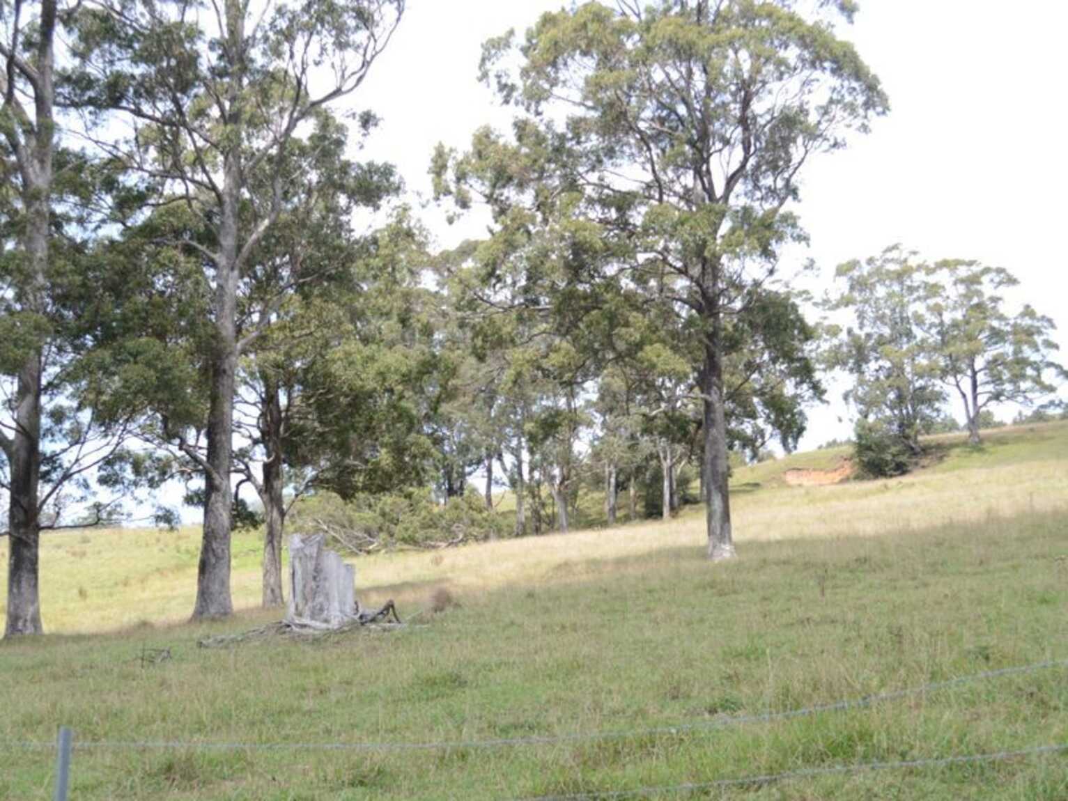 133 Orfords Lane East Kangaloon 133 Orfords Lane East Kangaloon