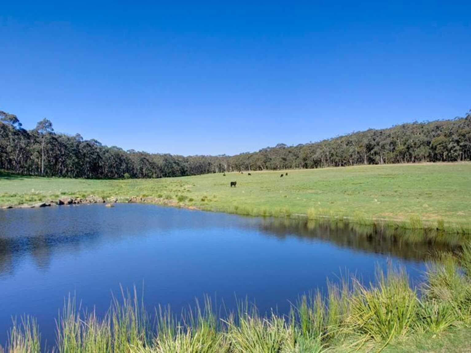 71 Birchalls Lane Berrima